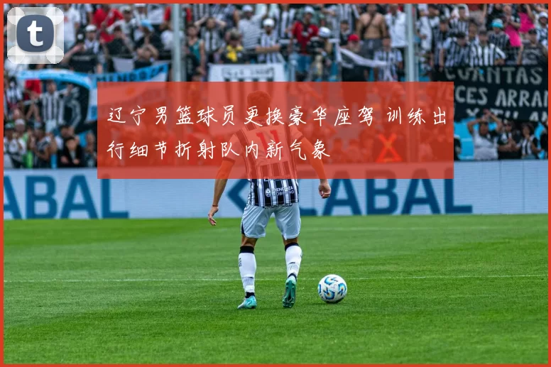 辽宁男篮球员更换豪华座驾 训练出行细节折射队内新气象